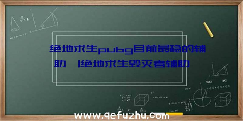 「绝地求生pubg目前最稳的辅助」|绝地求生毁灭者辅助